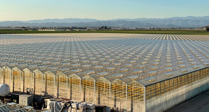 Energy Glass Solar™ Technology Addresses & Solves Key Issues for The Greenhouse Industry