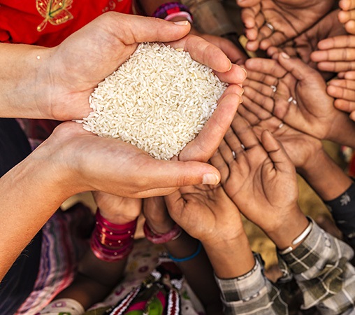 Energy Glass Solar™ Technology Can Help Fight Global Food Problems