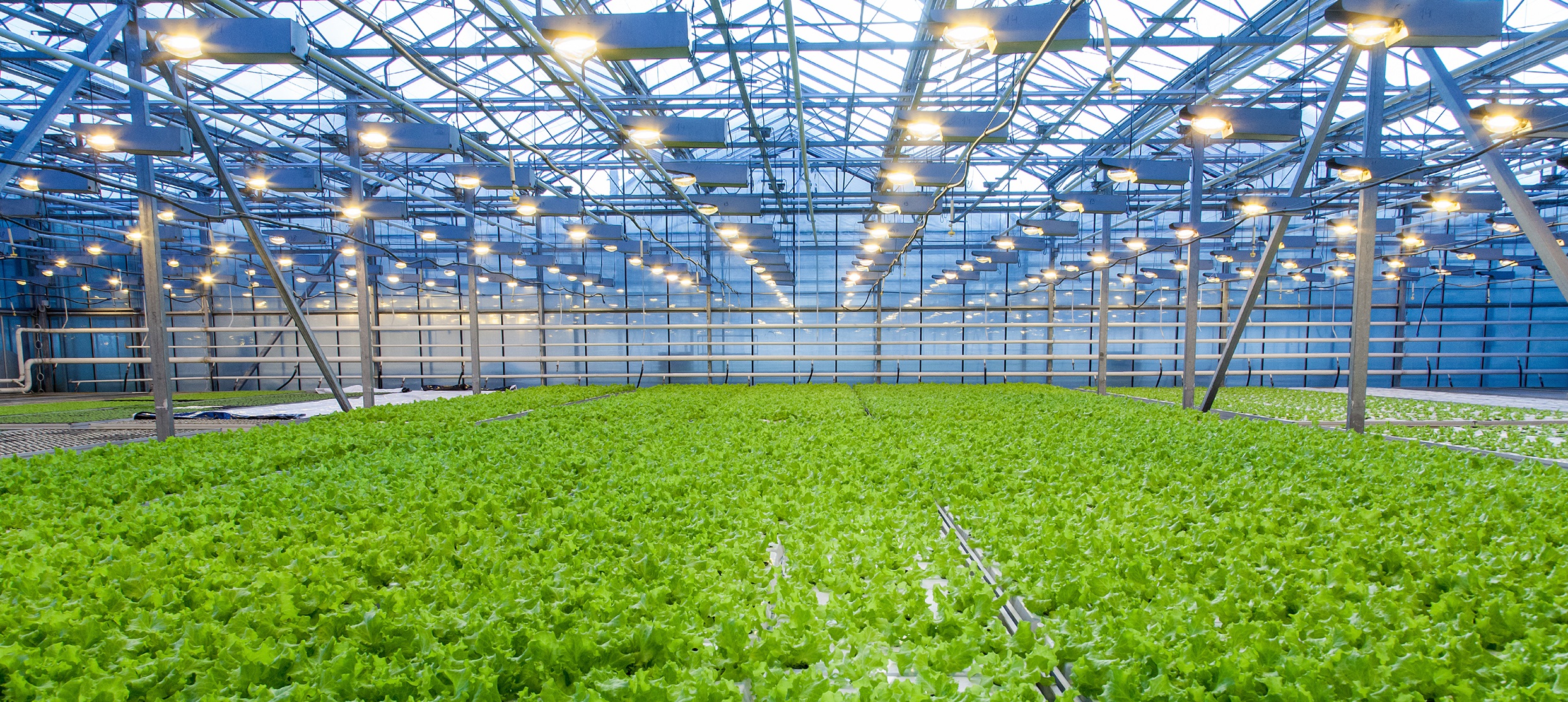 EnergyGlass™ Technology Addresses & Solves Key Issues for The Greenhouse Industry